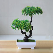 Home, Decoration, Simulation, Potted.