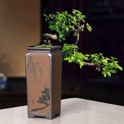 Ceramic, Orchid, Creative, Indoor.