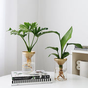 Air, Office, Desktop, Potted.
