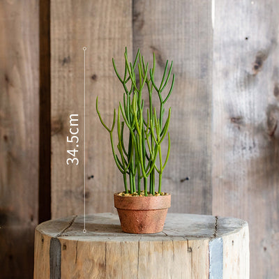 Simulation, large, plants, indoor.