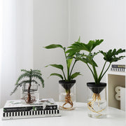  Air, Office, Desktop, Potted.