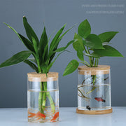 Indoor, Green, Plant, Decoration.