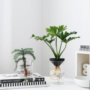  Air, Office, Desktop, Potted.